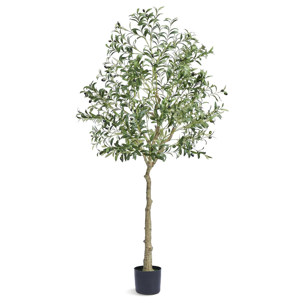 Olivier Artificiel 179 cm avec Pot 170x145 mm