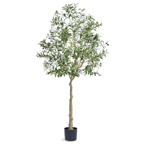 Olivier Artificiel 179 cm avec Pot 170x145 mm