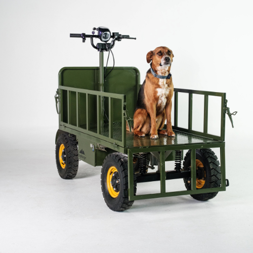 Micro-camion électrique tout-terrain