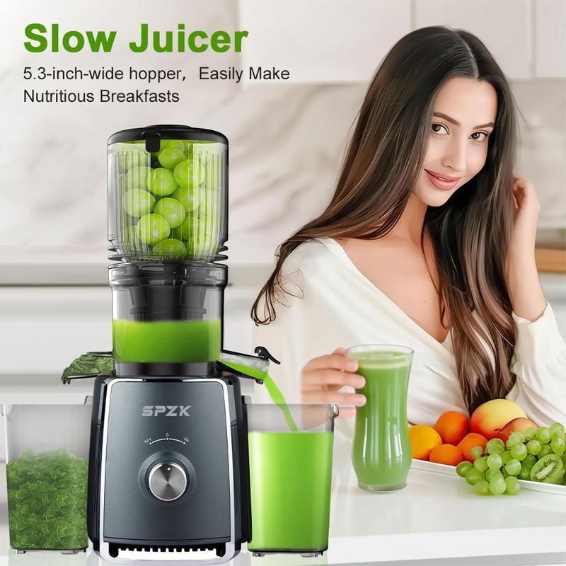 Extracteur de jus à pression 300 W