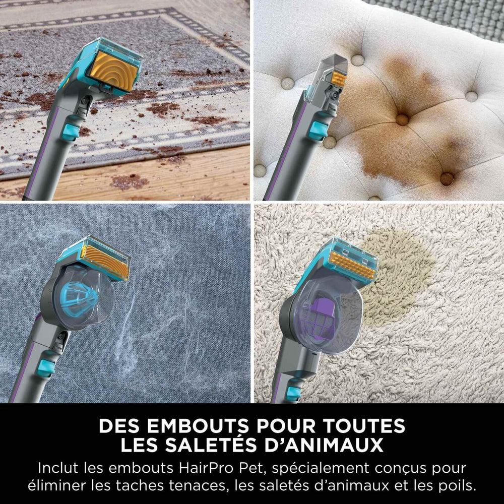 Shark StainStriker HairPro Pet - Shampouineuse Nettoyeur Détacheur Tapis, Canapé & Animaux
