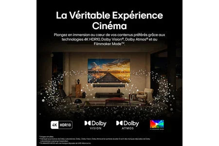 TV OLED Lg Evo OLED48G5 121 cm 2025