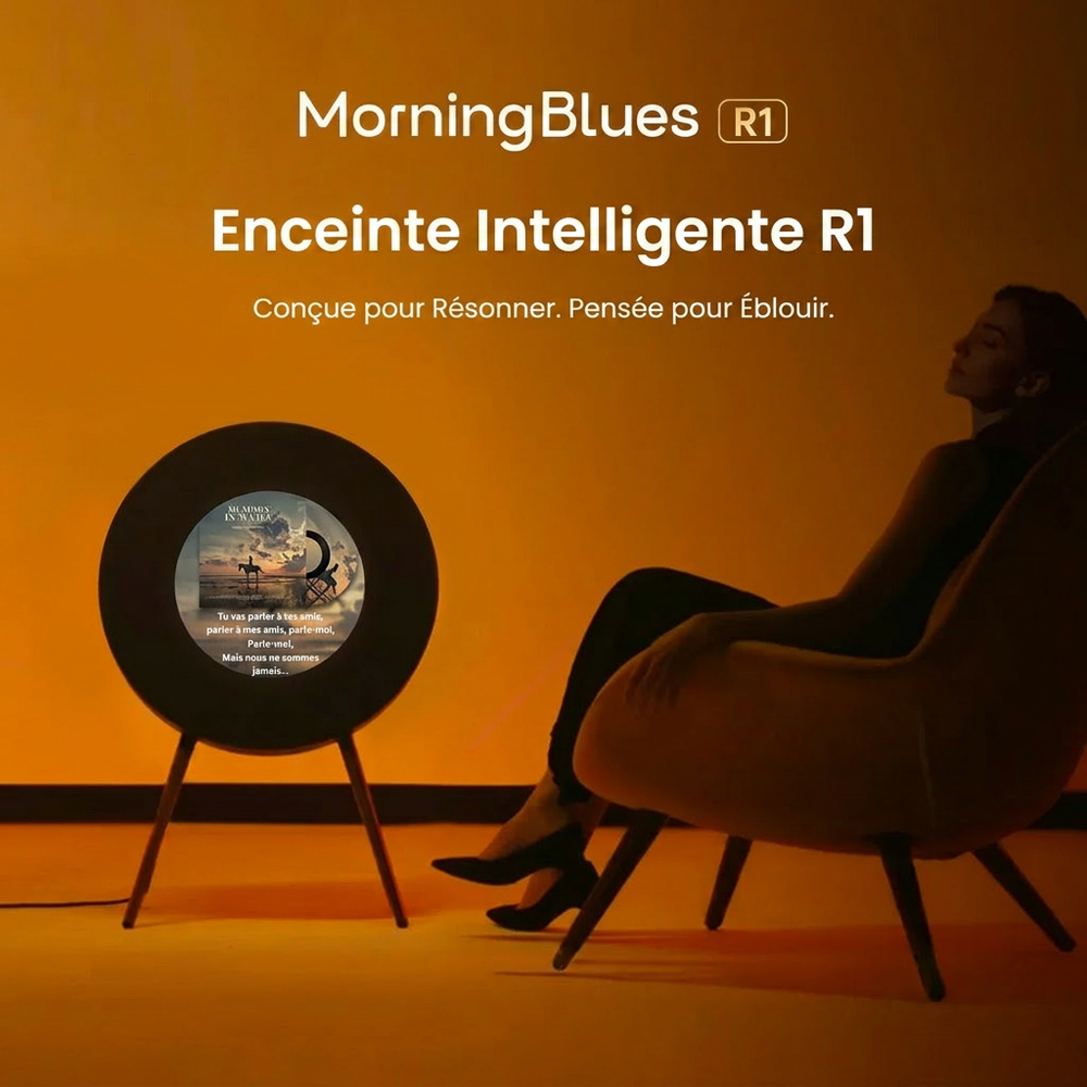 Enceinte MorningBlues Record R1
