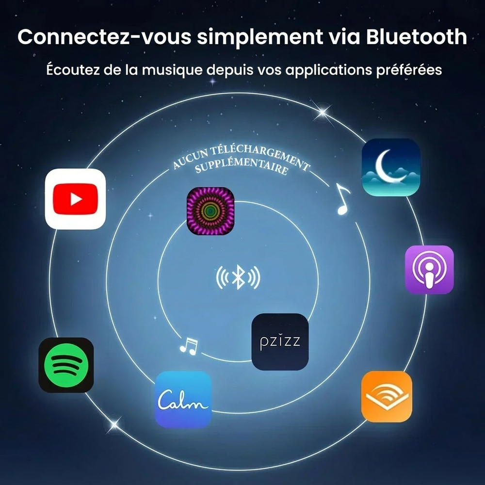 Enceinte MorningBlues Record R1