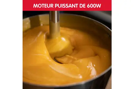 Pied mixeur Moulinex ECO RESPECT DD46E810